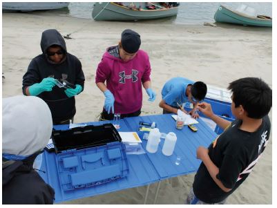 water sampling and physical chemistry measurements